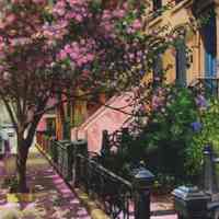 Postcard: Cherry Trees on Tenth Street Looking West, 5/2/94.