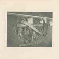          typical leaf with gravure imag
   