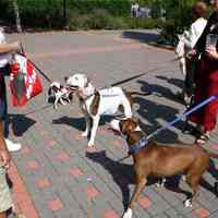 Digital color image of the 2004 Hoboken Pet Parade, along the Hoboken Waterfront, Sunday, September 26, 2004.