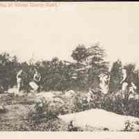 Postcard: Henry Kohl, Jersey City, NJ