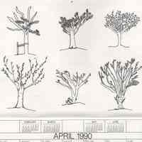          April 1990: trees
   