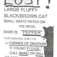          Gate Sale 002 (lost Cat)
   