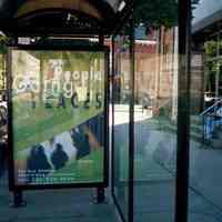 Color photo of new bus shelter with double-sided internally lit sign on Willow Ave. at SW corner of Fifth St., Hoboken, Sept., 1-5, 2001.