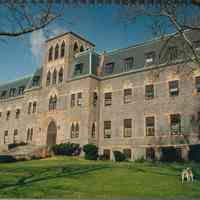          leaf 2 photo Stevens Hall
   