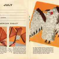          pp [16-17] July - American Eaglet
   