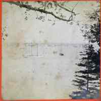          detail of left print, enhanced
   