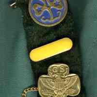          detail of badge with pins
   