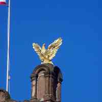          25: detail view of north eagle on brownstone pedestal, east facade
   