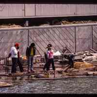          Color slide of eye-level view of six people sorting through debris at an unidentified location on the block bordered by Hudson, River, 1st and 2nd picture number 1
   
