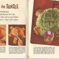          pp [10-11] Tortie the Turtle
   