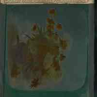          back of full slide, rotated
   