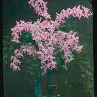 Lantern slide, color, of a floral arrangement in vase, used for promotional display in Hoboken, no date, ca. 1920.