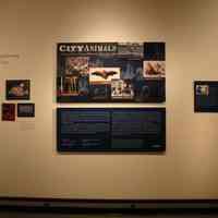 Two compact disks with 352 jpegs images documenting Hoboken Historical Museum 2004 exhibition "City Animals."