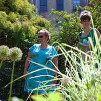 Color photos, 39, of June 2, 2013 Secret Gardens Tour by Hoboken Historical Museum.