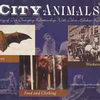 City Animals: A History of Our Changing Relationship with Other Hoboken Residents.