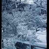 Color slide of a snowy backyard.