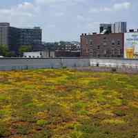          4289 green roof NE corner Garden and 14th Streets
   