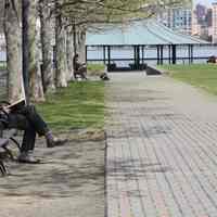 Color photos, 4, of Claire Lukacs of Hoboken reading in Pier A Park, Hoboken, April 4, 2012.