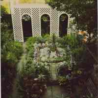 Color polaroid print of a backyard garden probably at 822 Bloomfield St., Hoboken, no date, ca. 2000.