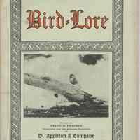 Bird-Lore. Volume XIX, No. 1, January-February, 1917.