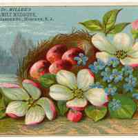 Trade or advertising card: Dr. Miller