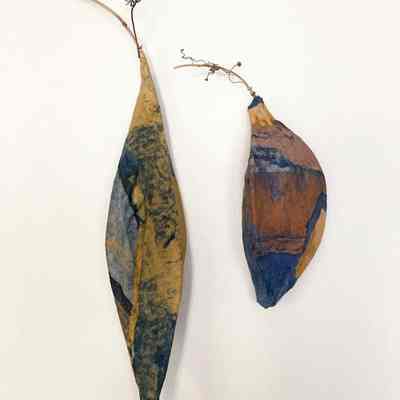 Two Seed Pods