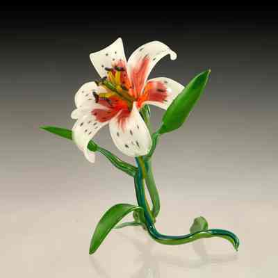 Lily