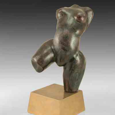 Torso