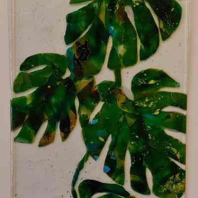 Monstera