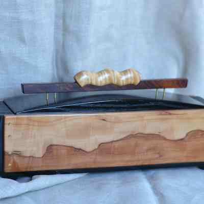 Caterpillar Treasure Box