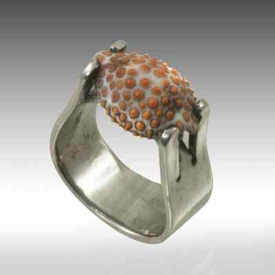 Shell Ring