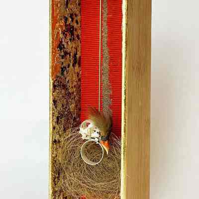 Big Al Cardinal Ring - Protection