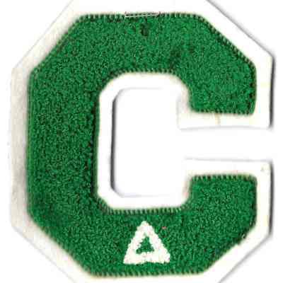 Patch, Insignia