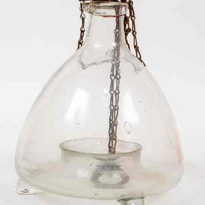 Glass flytrap