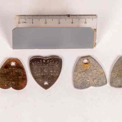 Dog tags