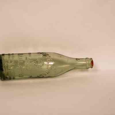 Bottle