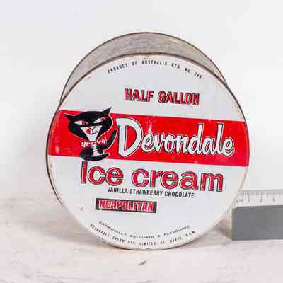 Ice Cream Container