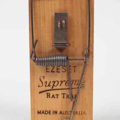 Wooden Rat trap