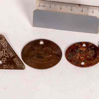 Dog tags