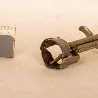 Ball cutter/corer