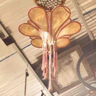 Group of lampshades