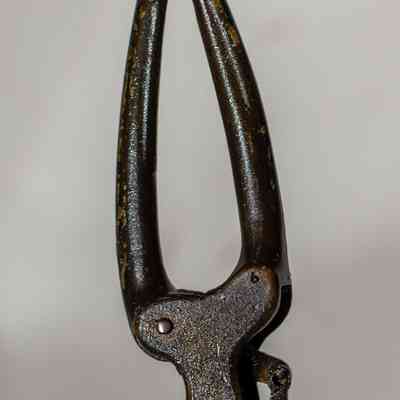 Shop keepers Arm