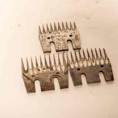 Shearing Comb