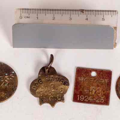 Dog Tags