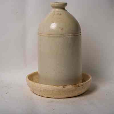 Bird Feeder