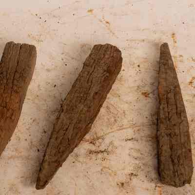 Surveyors pegs