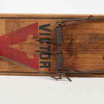 Wooden Rat trap