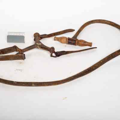 Mechanized Leads for Coursing Dogs