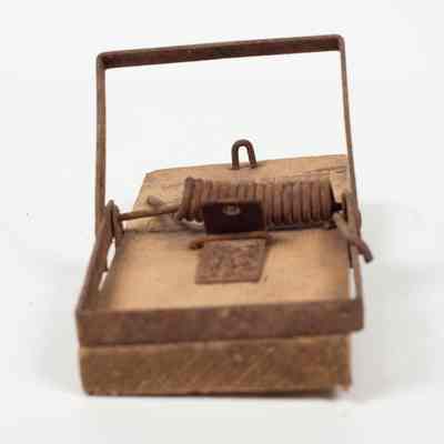 Wooden Rat Trap