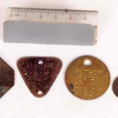 Dog Tags